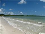 Los Machos Beach - CEIBA